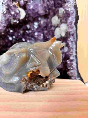 Agate Dragon 12cm 710gr