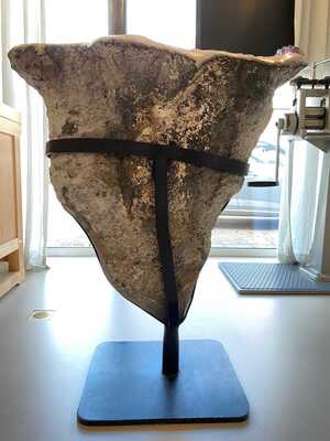 Amethiste Gem 66.1 kg 'V'
