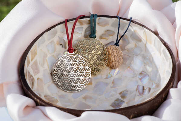 Dyem Flora Model Website Heursel